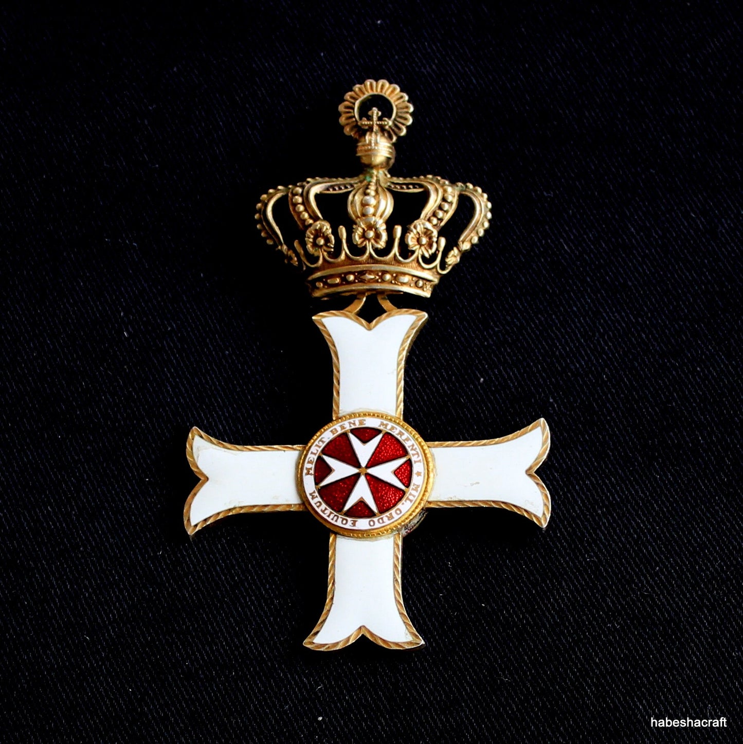 The Order of Merit of Malta. Awarded to contributions to the fields of health, science, and the arts.